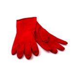 Tzezanas Cover gloves general use pr